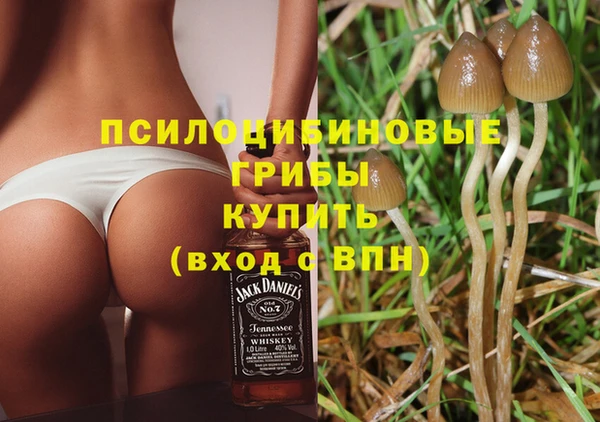 шишки Богородск