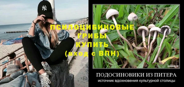шишки Богородск