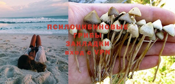 шишки Богородск