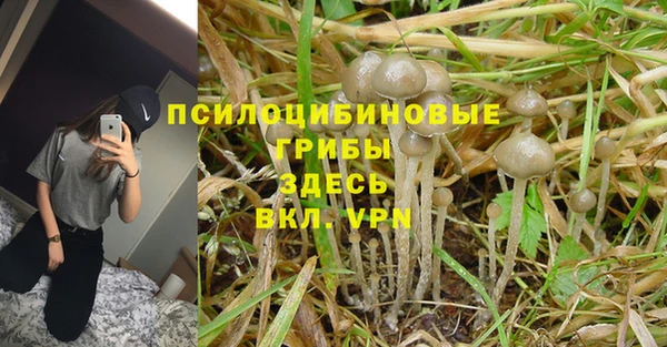 шишки Богородск