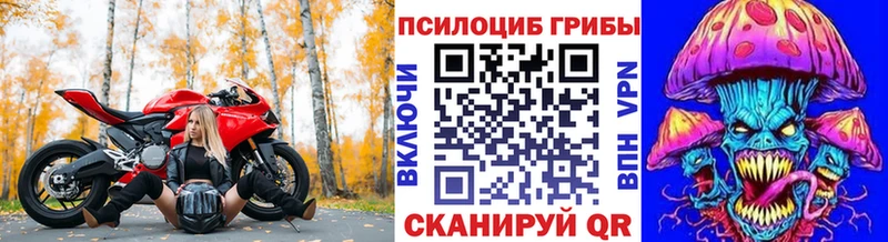 купить наркоту  нарко площадка официальный сайт  Галлюциногенные грибы ЛСД  Гороховец 